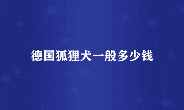 德国狐狸犬一般多少钱