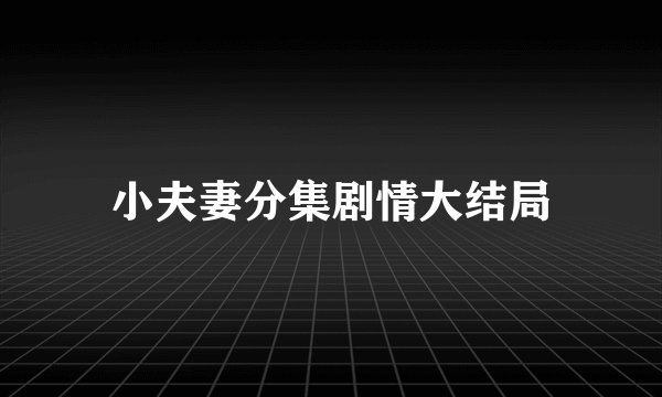 小夫妻分集剧情大结局