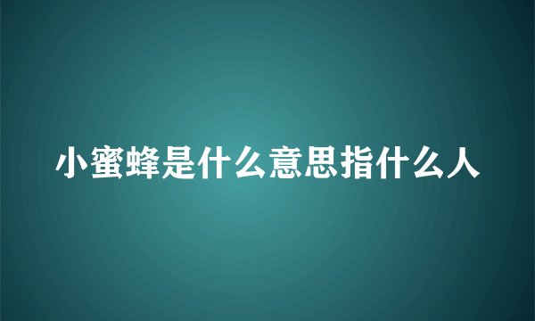 小蜜蜂是什么意思指什么人