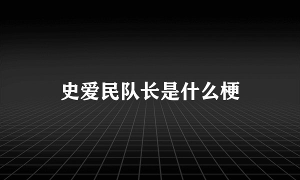 史爱民队长是什么梗