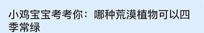 哪种荒漠植物可以四季常绿