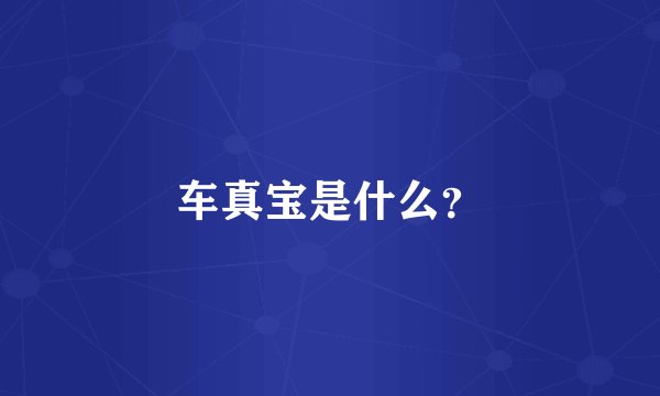 车真宝是什么？