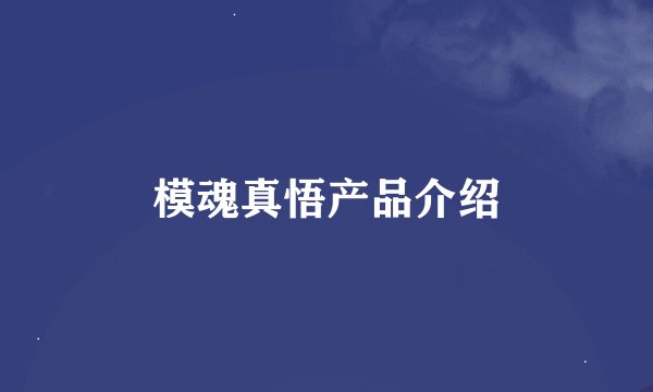 模魂真悟产品介绍