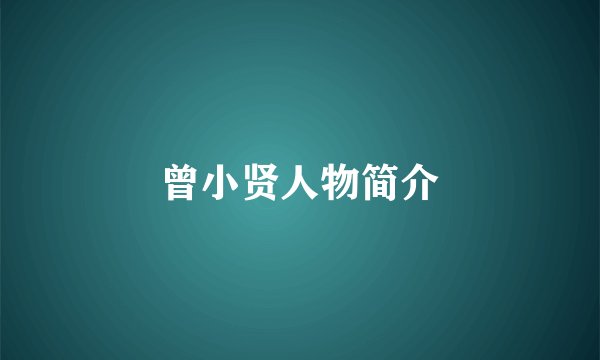 曾小贤人物简介