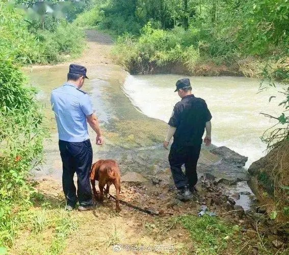 突发!贵州一嫌犯逃逸12小时自杀,究竟是什么酿成了这起悲剧?