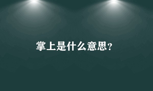 掌上是什么意思？