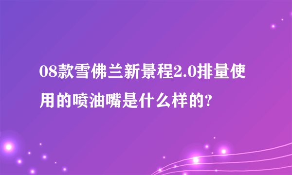 08款雪佛兰新景程2.0排量使用的喷油嘴是什么样的?