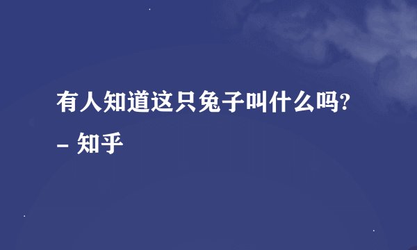 有人知道这只兔子叫什么吗? - 知乎
