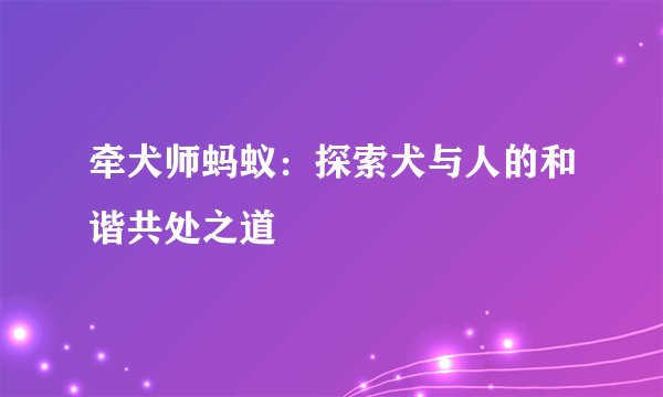 牵犬师蚂蚁：探索犬与人的和谐共处之道
