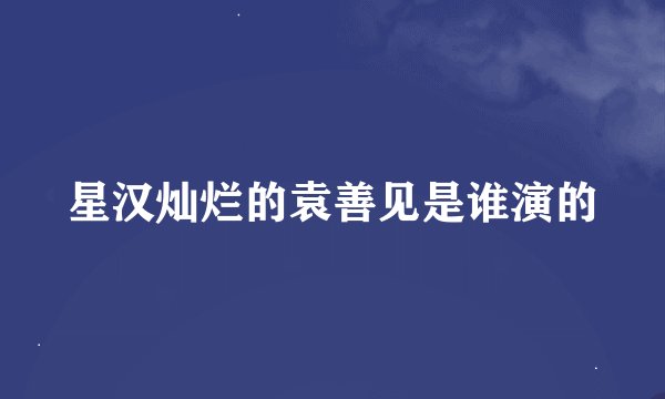 星汉灿烂的袁善见是谁演的