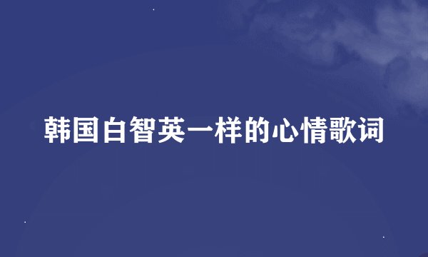 韩国白智英一样的心情歌词