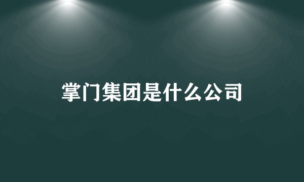 掌门集团是什么公司
