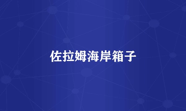 佐拉姆海岸箱子