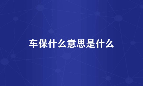 车保什么意思是什么