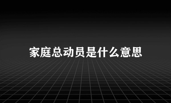 家庭总动员是什么意思