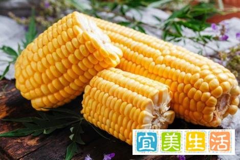 施用祥云健康肥,种出高产高质农作物