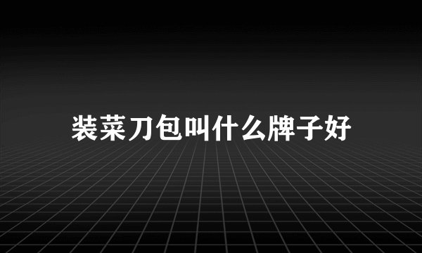 装菜刀包叫什么牌子好