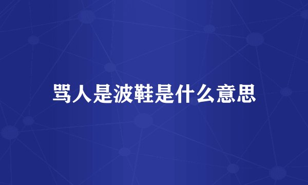 骂人是波鞋是什么意思