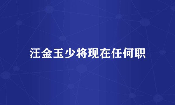 汪金玉少将现在任何职