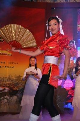 康龙武林大会的拳种