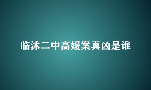 临沭二中高媛案真凶是谁