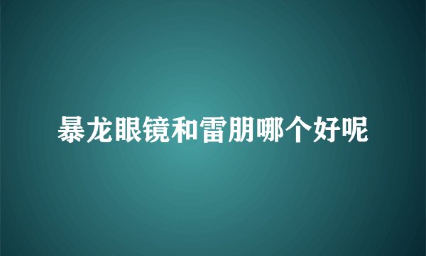 暴龙眼镜和雷朋哪个好呢