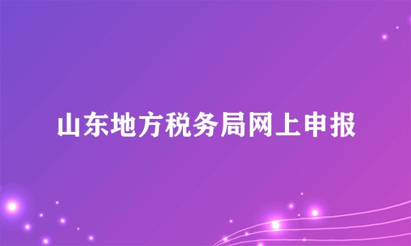 山东地方税务局网上申报