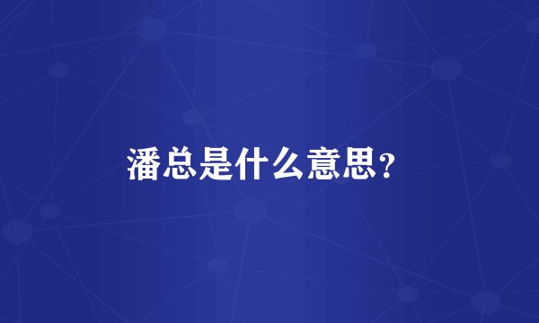 潘总是什么意思？