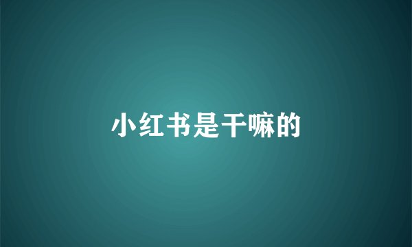 小红书是干嘛的