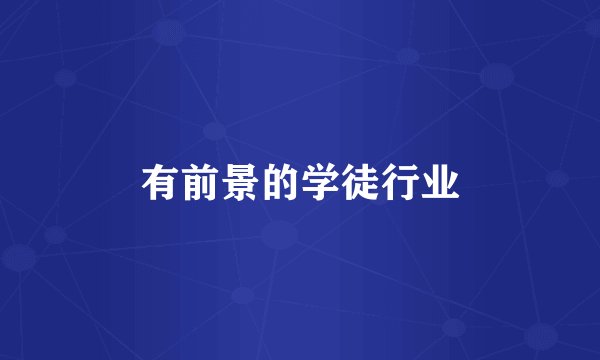 有前景的学徒行业