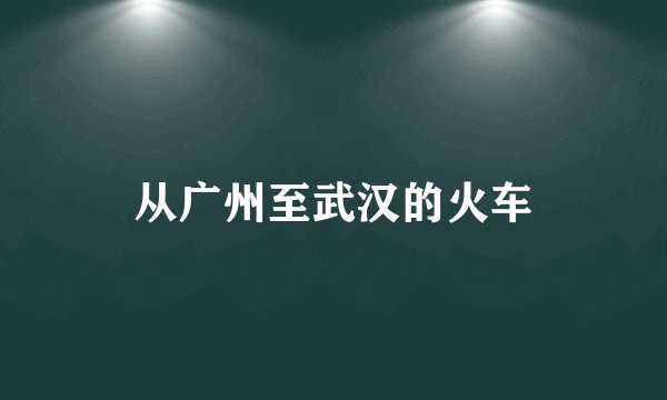 从广州至武汉的火车