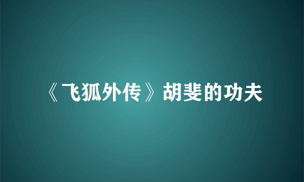 《飞狐外传》胡斐的功夫