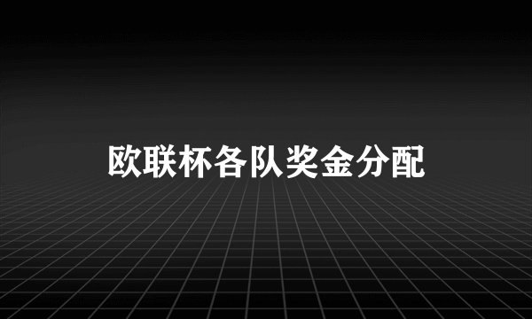 欧联杯各队奖金分配