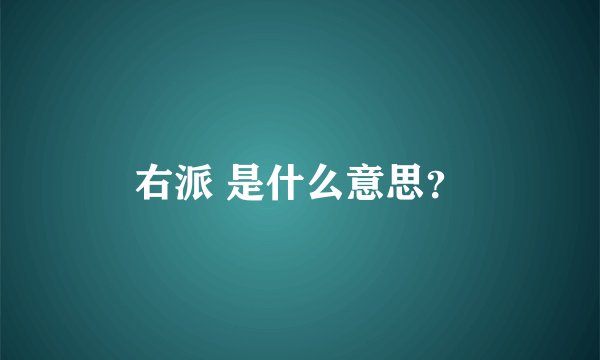 右派 是什么意思？