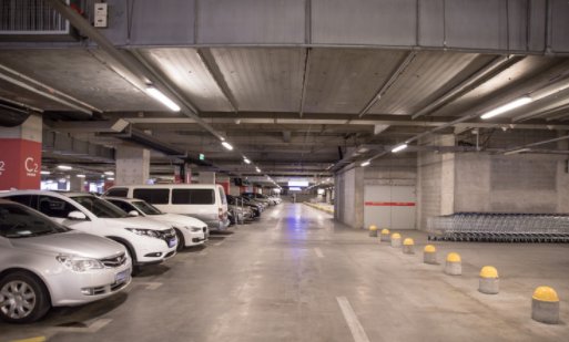 朝阳一小区车库跳蚤泛滥成灾,给居民们的生活造成了哪些影响?