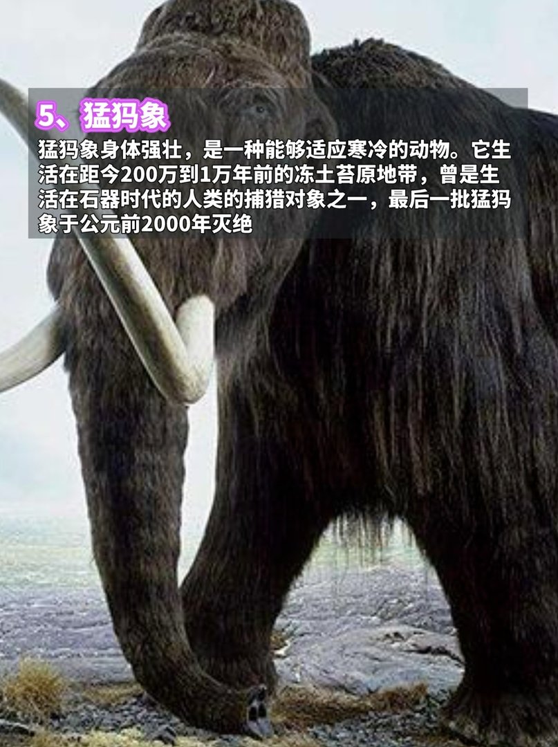 地球上最古老的7种动物,看完脊背发凉