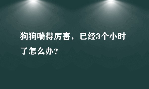狗狗喘得厉害，已经3个小时了怎么办？