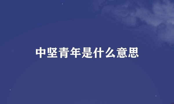 中坚青年是什么意思