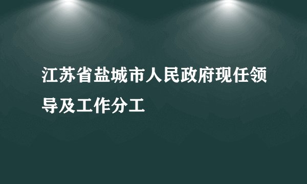 江苏省盐城市人民政府现任领导及工作分工