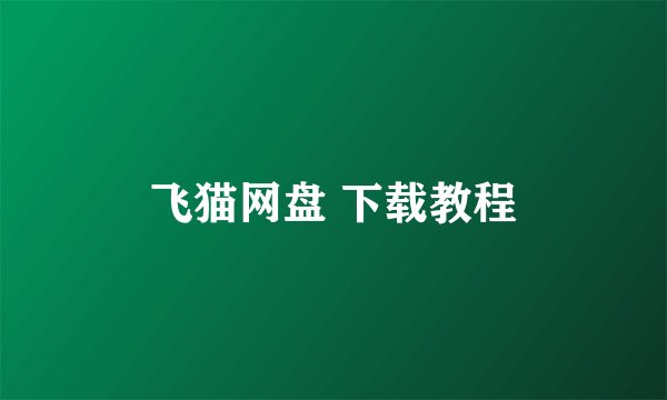 飞猫网盘 下载教程