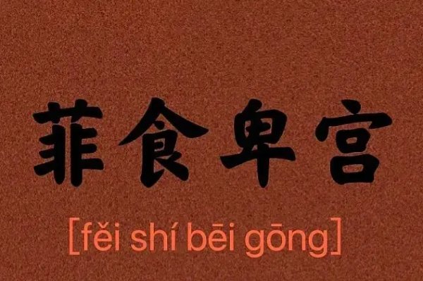 卑宫菲食什么意思