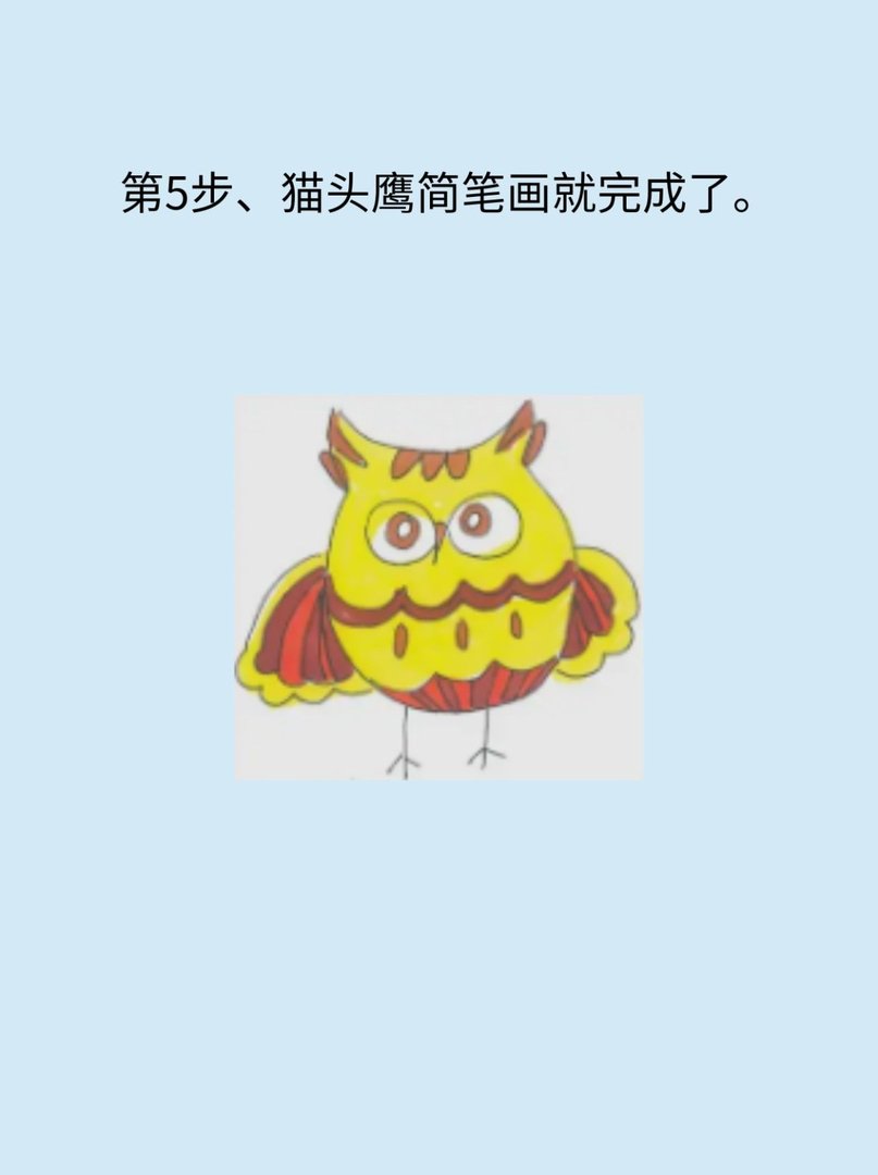 猫头鹰怎么画简单又好看