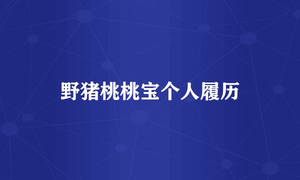 野猪桃桃宝个人履历