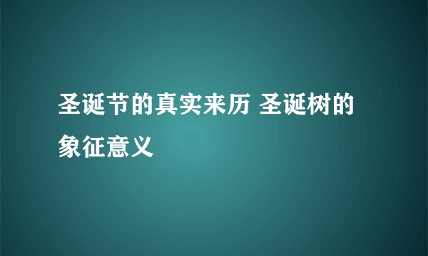 圣诞节的真实来历 圣诞树的象征意义