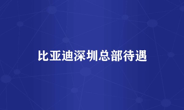 比亚迪深圳总部待遇