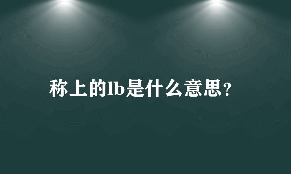 称上的lb是什么意思？