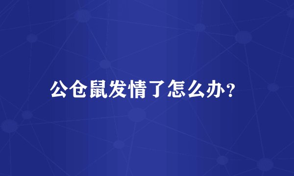 公仓鼠发情了怎么办？