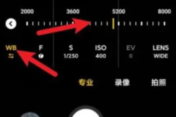 小米10怎么专业模式拍月亮?