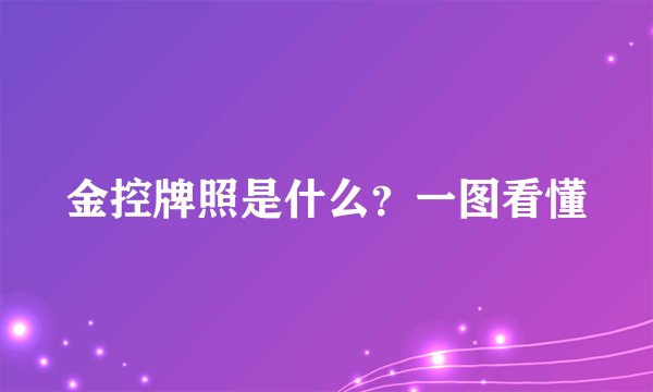 金控牌照是什么？一图看懂