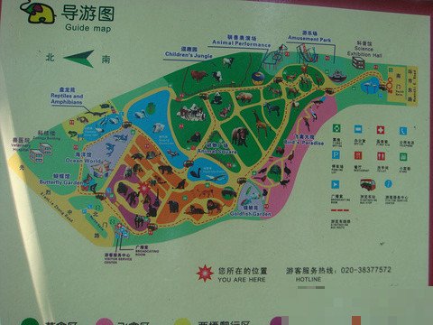广州动物园的门票是多少元一张